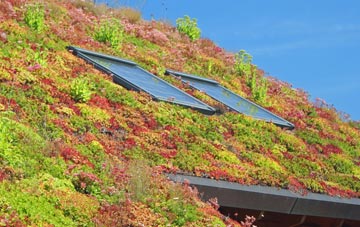 Pen Y Rhiw living roof systems